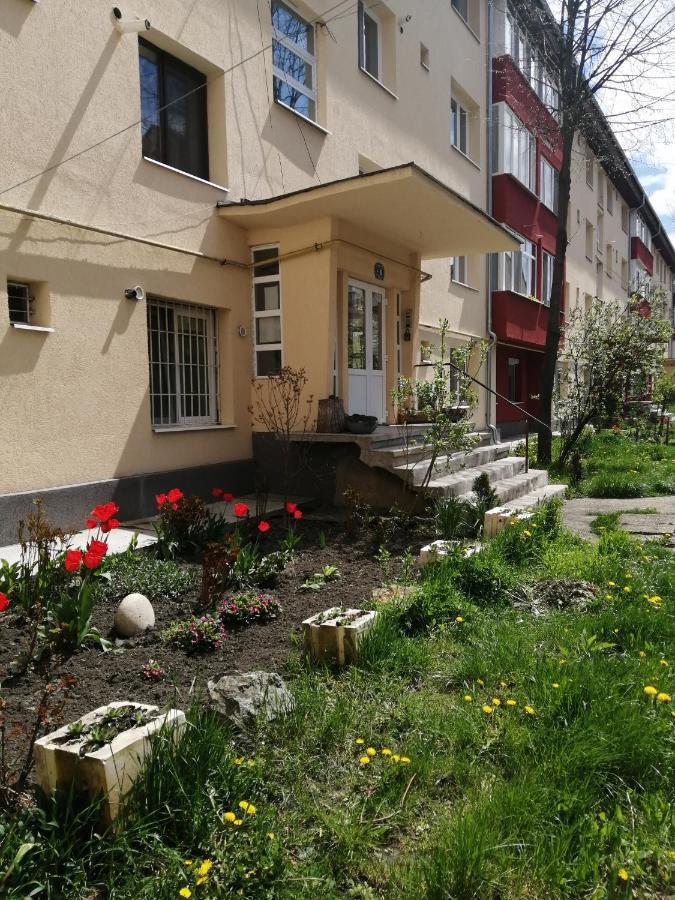 Angel House Central Aparament Петрошань Екстер'єр фото